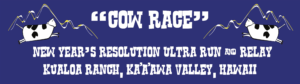 cow-race-header-for-website
